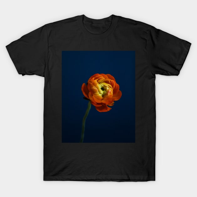 Orange Ranunculus T-Shirt by Thomas G. Bugarin